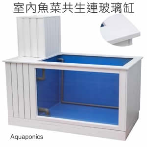 室內木系aquaponics SYSTEM